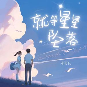 就等星星坠落