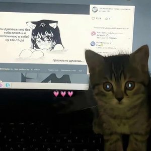 Two Freestyle（Prodby玉）