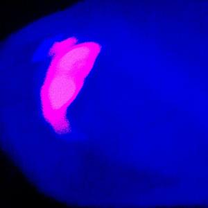 odchádzam už preč