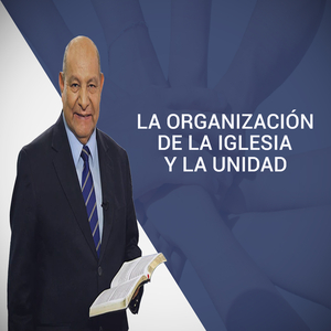 Causa De La Desunión