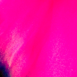 MOURN