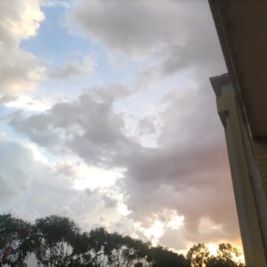 我一点都不想你