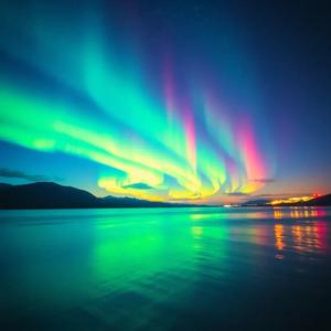 Instant Crush in Oslo