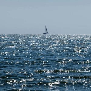 遇萤（纯歌版）