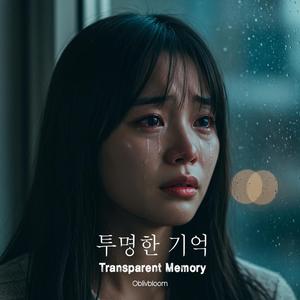 투명한 기억 (Transparent Memory)