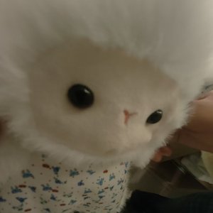 别让世俗淹没你的童真