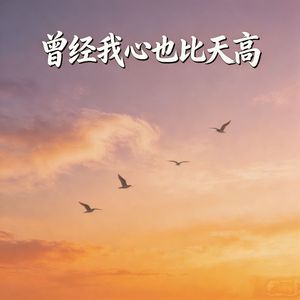 曾经我心也比天高（高燃版）