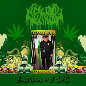 your yells couldnt be heard from the gods, even if you tried.