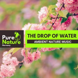 Prolific Spring Bees