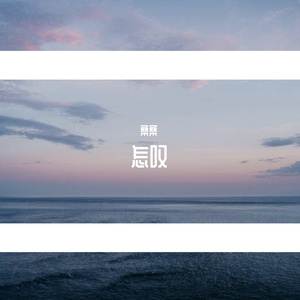 怎叹（翻自 郑鱼）