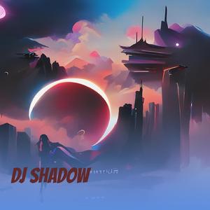 Dj Shadow