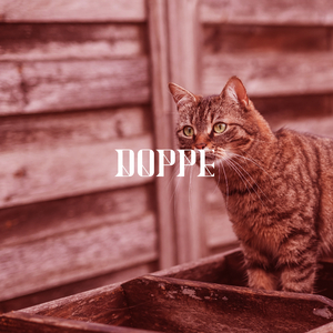 Doppe