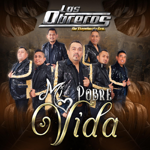 Mi Pobre Vida