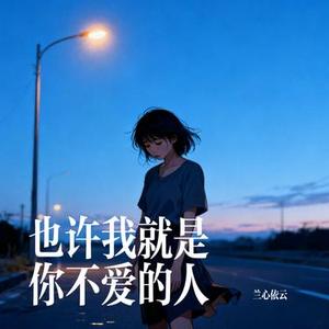 也许我就是你不爱的人