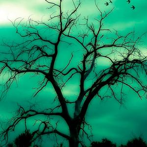 Taumaturgia (Boom bap Instrumental sad)