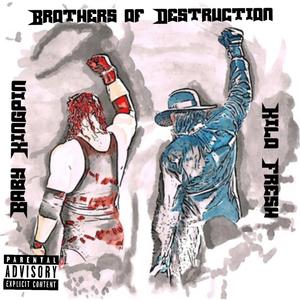 Brothers Of Destruction