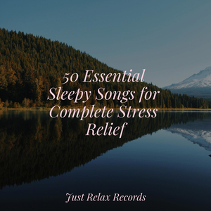 Joyful Blooms Abound