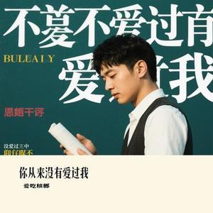 你从来没有爱过我 (Cover 周小冉)