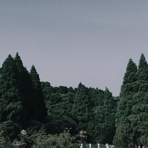 匆匆那年