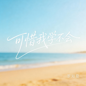可惜我学不会