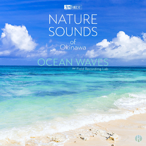 Powder Sand Beach (Irabu Island, Okinawa) [feat. Field Recording Lab]