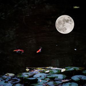 爱了不该爱的人