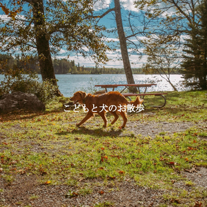 Lovely Waltz - Vibe for Coffee Time After Dinner