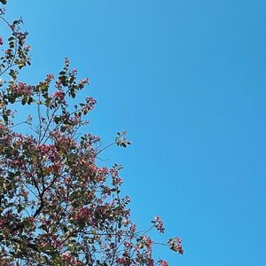 Void（空空如也）