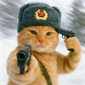 悠悠的户晨风(爵士中文)