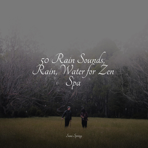 Camping Kettle on the Fire