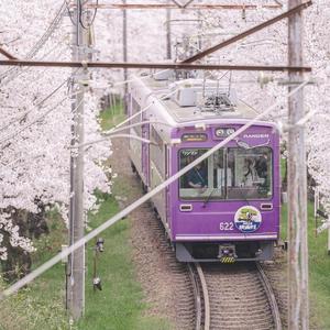 摘抄自你的春色