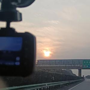 夏日限定