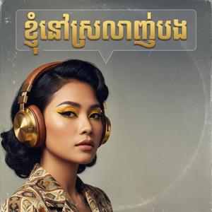 ខ្ញុំនៅស្រលាញ់បង