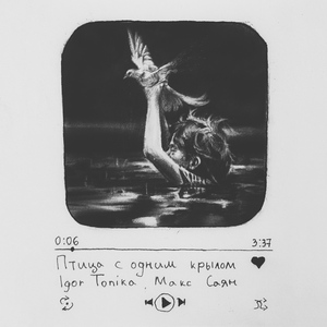 Птица с одним крылом