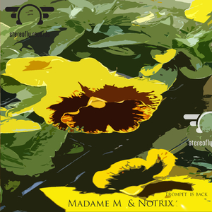 Trompet Is Back (Notrix Progressive Remix)