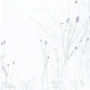 wintermoon (quietsilence)