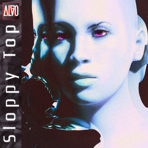 Sloppy Top