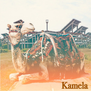 Kamela