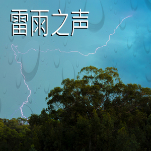 雷雨之声,29部