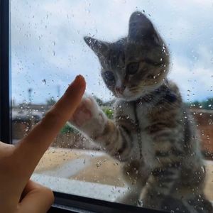 许慧欣-七月七日晴（热播版）（绝对 remix）