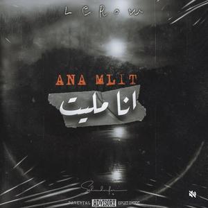ana mlit