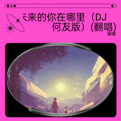 未来的你在哪里 (DJ何友版)