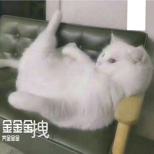 心静的地方 伴奏