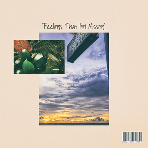 Feelings That I′m Missing