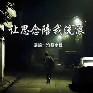 让思念陪我流浪