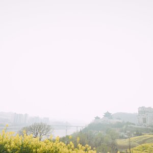 《人间孤岛》