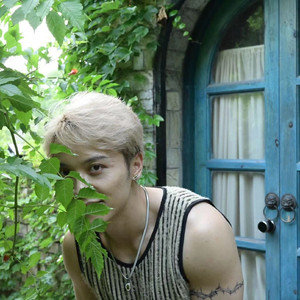 昨夜星辰昨夜风