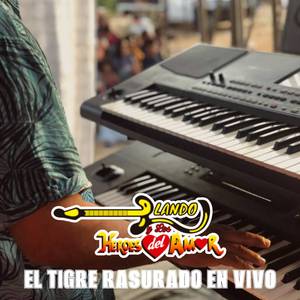 El Tigre Rasurado (En Vivo)