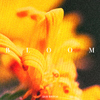 Liam Thomas - Bloom