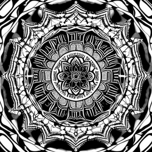 PHARSYDE (Cover)